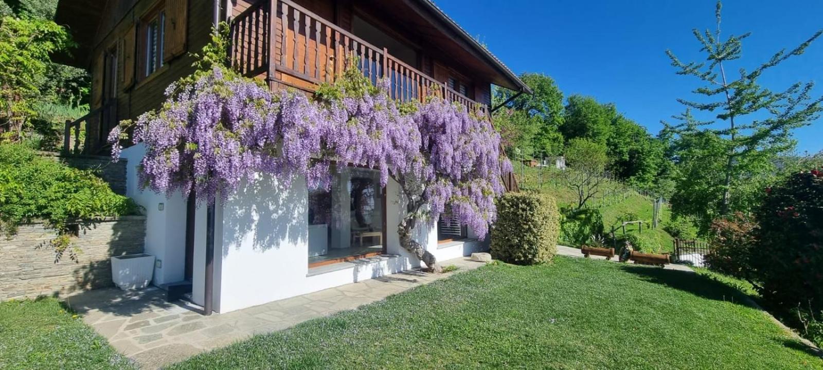 Chalet Sophie - Luxury Chalet Roletto Zewnętrze zdjęcie